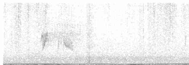 Ивовый мухолов - ML619302391