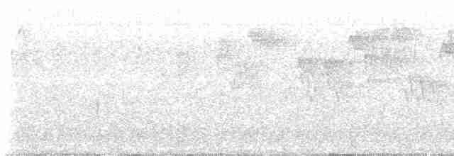 Troglodyte de Baird - ML619302577