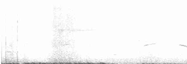 Black-bellied Plover - ML619302801