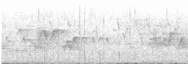 "Шишкар ялиновий (Northeastern, або тип 12)" - ML619303507