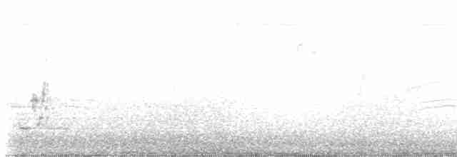 Martinet à gorge blanche - ML619303776
