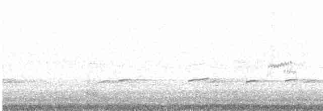 חופית זעירה - ML619303879