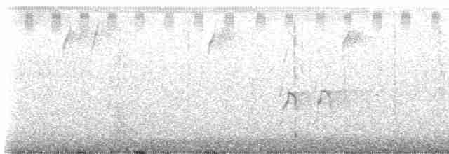 Swallow-tailed Kite - ML619303964