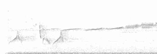 Prairie Warbler - ML619304125