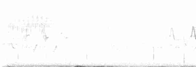 Червоїд сіроголовий - ML619304508