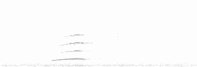 Kumral Paçalı Baykuş - ML619304578