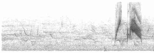 Ивовый мухолов - ML619305301