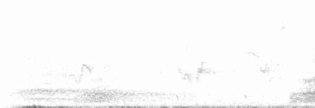 Cuervo Grande - ML619305343