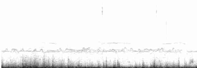 Pluvier grand-gravelot - ML619305715