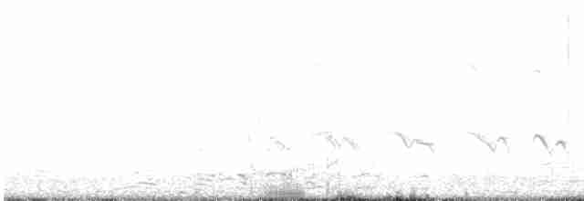 Common Redshank - ML619305813