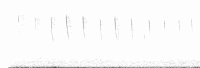rorýs ostnitý - ML619305916