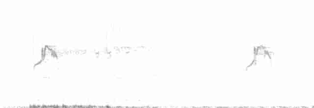 Жёлтая трясогузка (iberiae) - ML619305976