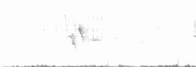 Tawny Pipit - ML619305987