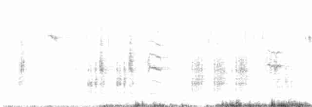 Great Reed Warbler - ML619306020