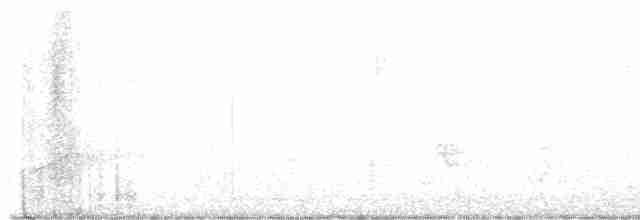 Sarı Karınlı Sinekkapan - ML619306305