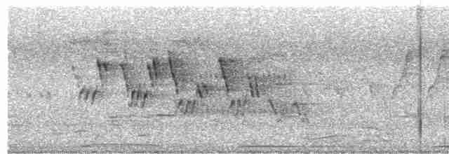 Черногорлая хвойница - ML619306407