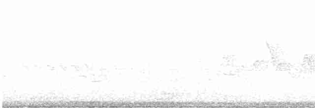hvitbrynsvartspett - ML619306415