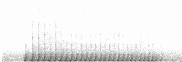 hvitbrynsvartspett - ML619307002