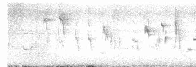 Кропив’янка чорноголова - ML619307172