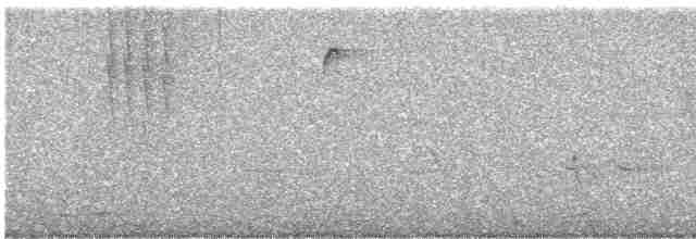 Yakut Boğazlı Kolibri - ML619307472
