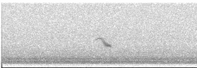 Gri Yanaklı Bülbül Ardıcı - ML619308329