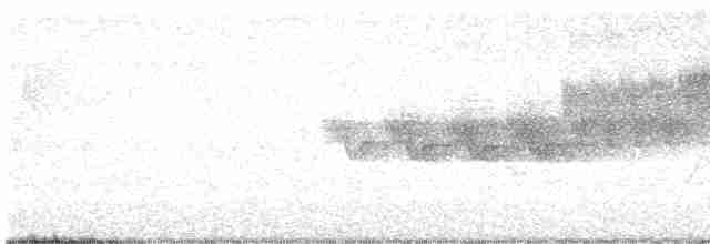 Cerulean Warbler - ML619309412