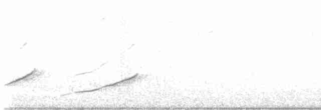 Söğüt Sinekkapan - ML619309531