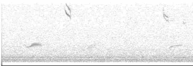 Savannah Serçesi - ML619310153