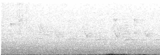 Каролинский крапивник - ML619310202