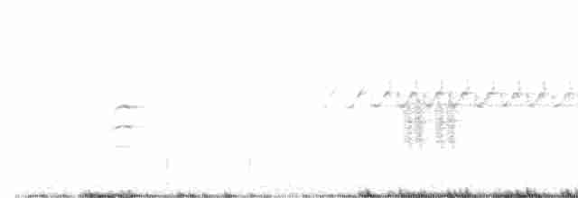 White-winged Crossbill - ML619310304