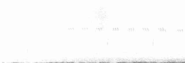 Western Orphean Warbler - ML619310467