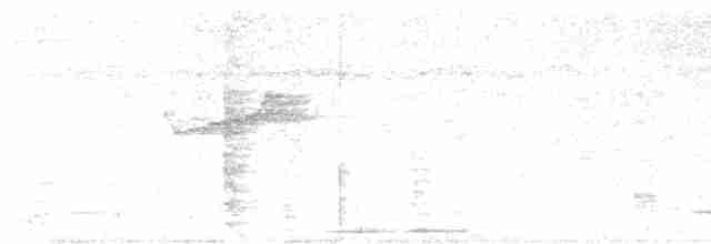 Тиран-плоскодзьоб малий - ML619310856