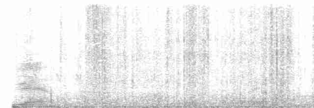 Тиранчик-тонкодзьоб південний - ML619311321