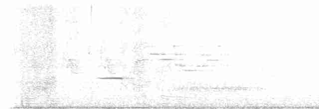 Münzevi Bülbül Ardıcı - ML619311334