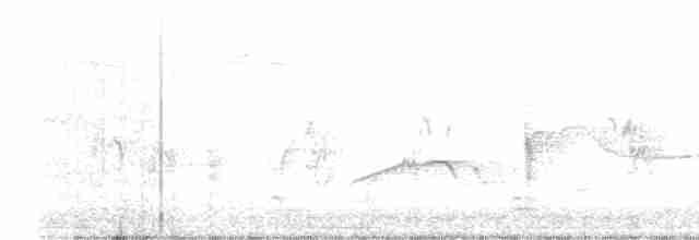 Черногорлая хвойница - ML619311687