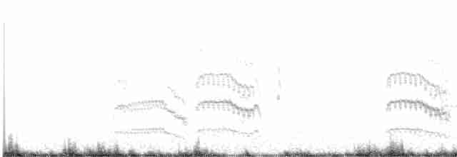 Common Tern - ML619311936