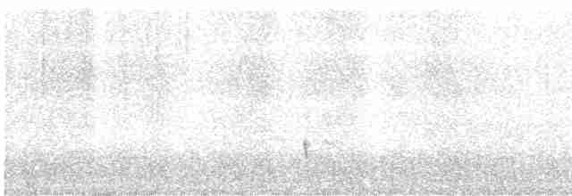 Черноспинный трёхпалый дятел - ML619312278