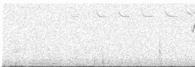 Troglodyte de Baird - ML619313416