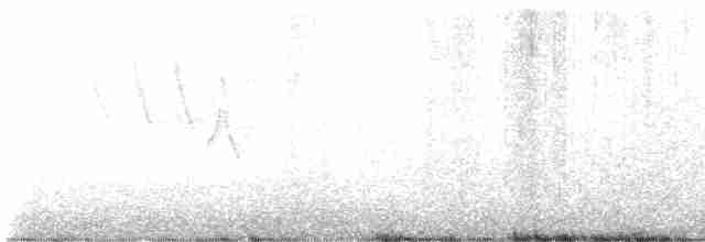 ネズミメジロハエトリ - ML619315016