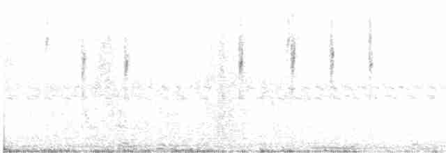 Strichelrücken-Dickichtschlüpfer - ML619315745