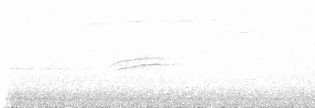 Дрізд-короткодзьоб плямистоволий - ML619317693