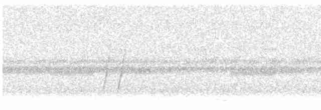 Moqueur à bec courbe (groupe curvirostre) - ML619319696