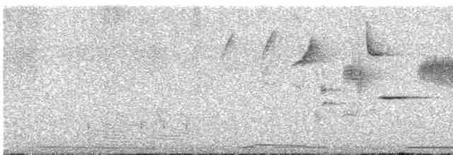 Длиннохвостый крапивник - ML619319926