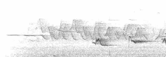 Savannah Serçesi [sandwichensis grubu] - ML619320262