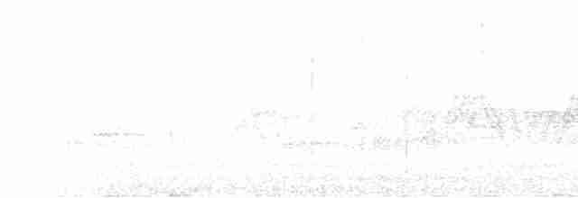 lesňáček modrokřídlý - ML619320279