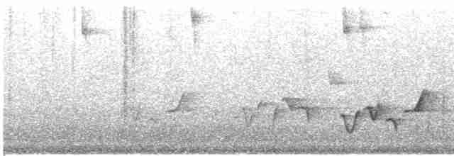 Gri Göğüslü Çıtkuşu - ML619320286
