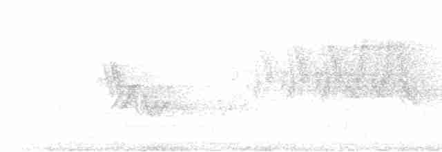 Common Yellowthroat - ML619320300