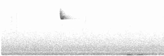 Batı Amerika Sinekkapanı (occidentalis/hellmayri) - ML619320301