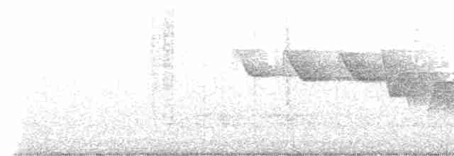 Трясогузковый певун - ML619320382