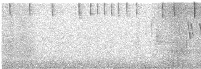 Малая вильсония - ML619320383